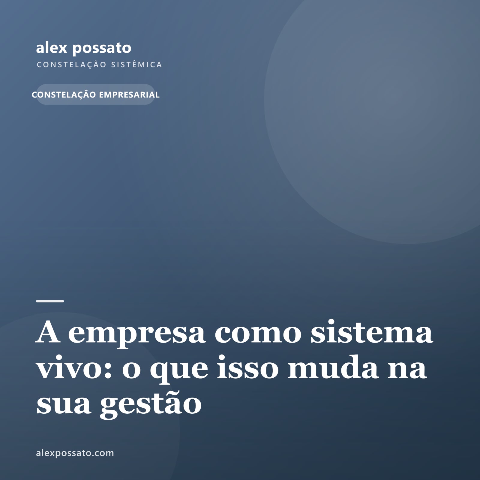 A empresa como sistema vivo: o que isso muda na sua gestão