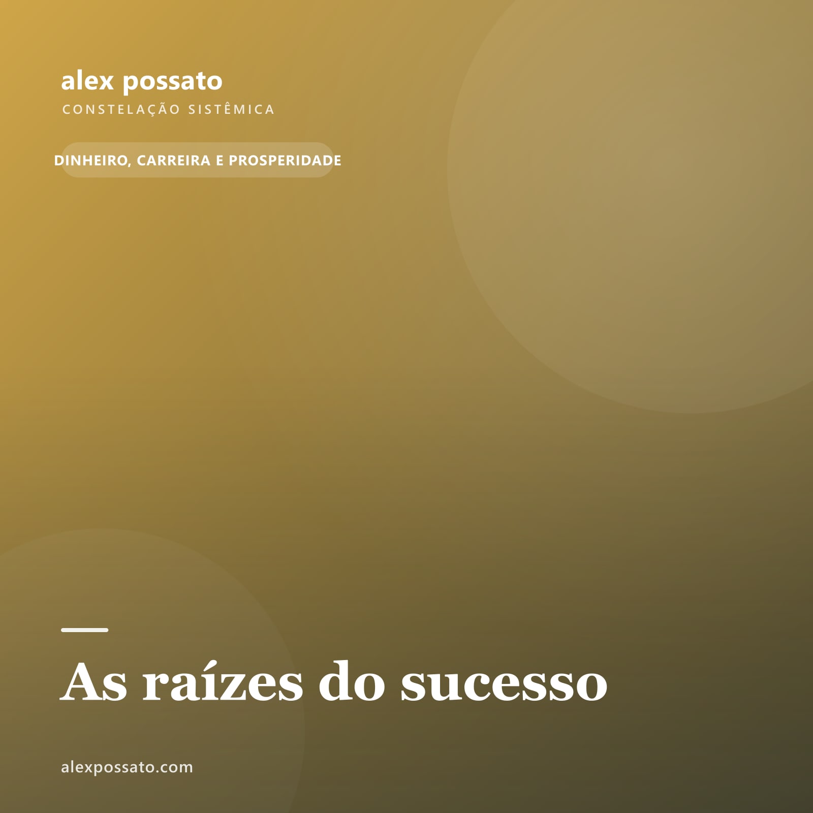 As raízes do sucesso