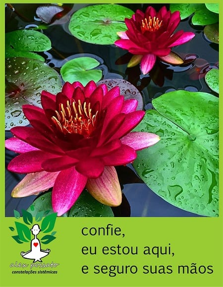 Confiança