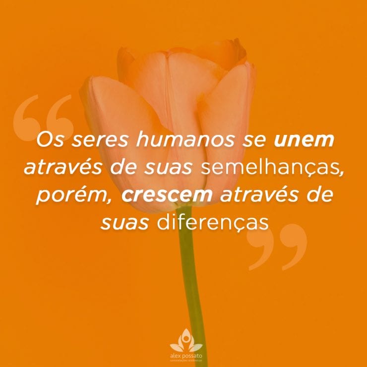 Crescendo com os obstáculos