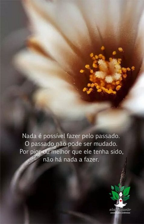 Quando a vida diz não