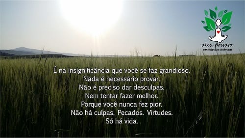 Quando todos os caminhos fazem sentido