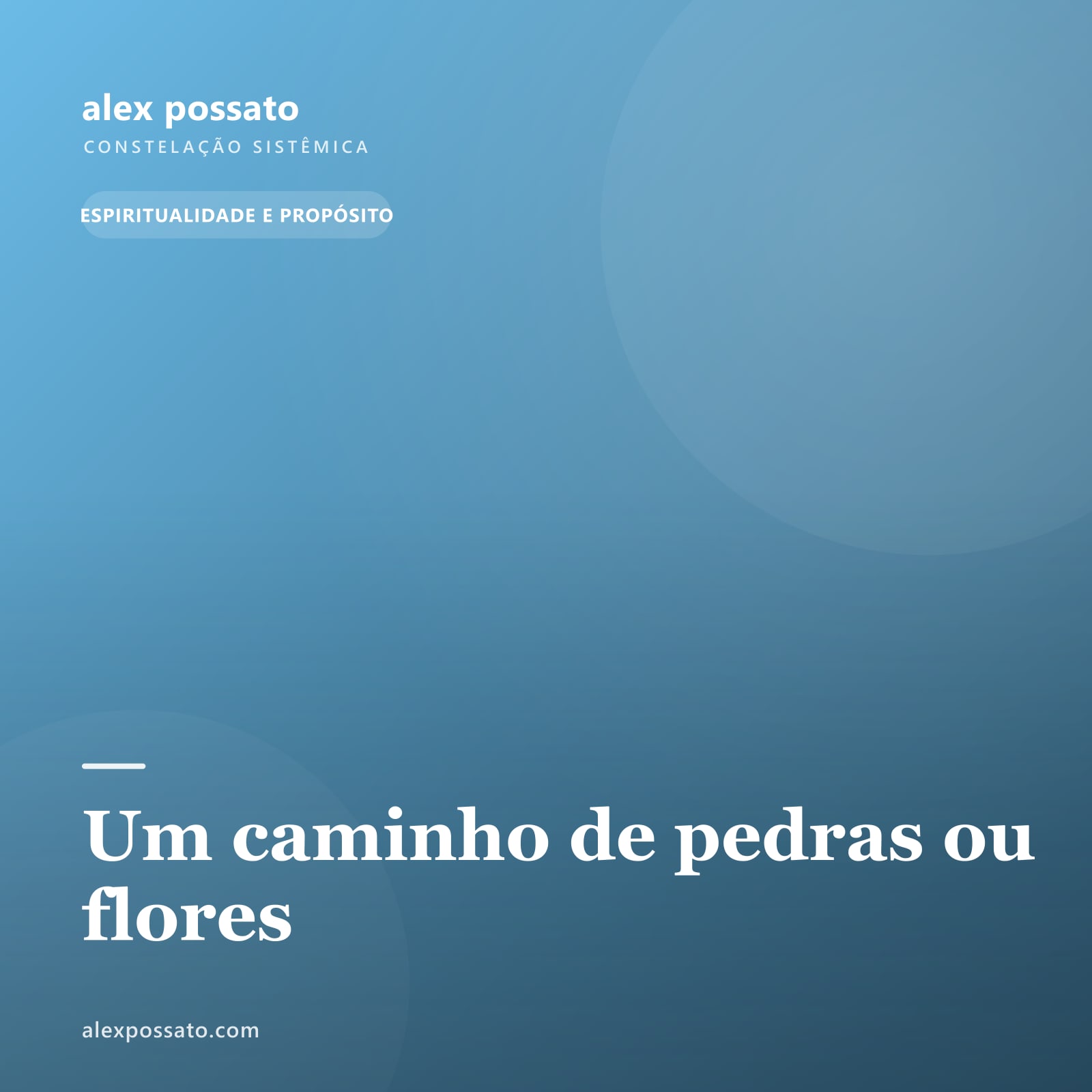 Um caminho de pedras ou flores