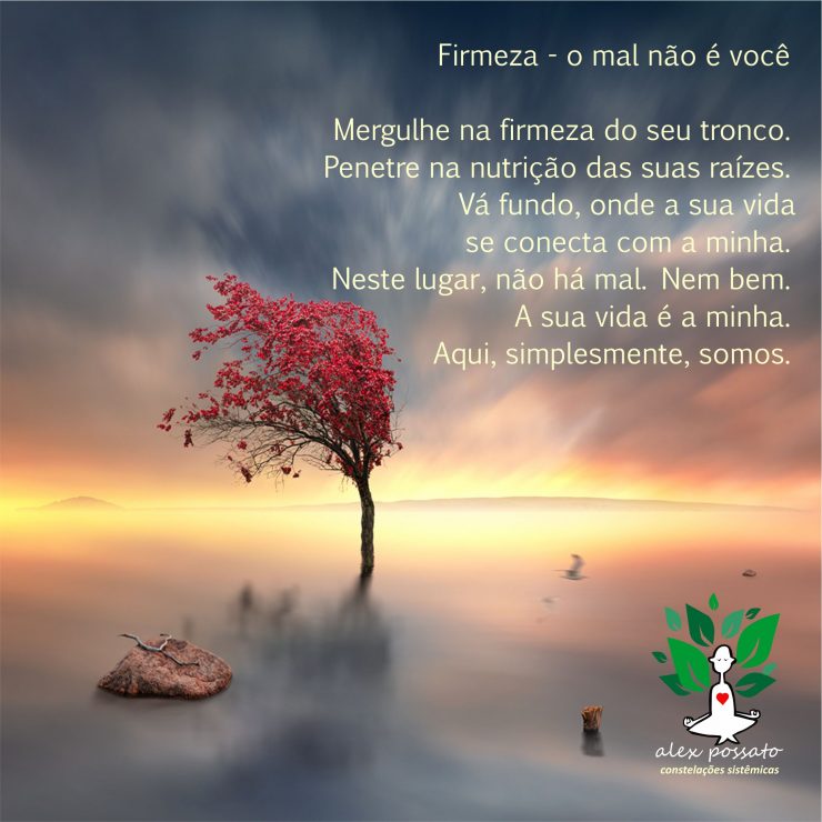 Firmeza – o mal não é você