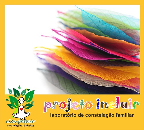 Projeto Incluir – laboratório de constelação estréia em Brasília!